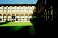Chiostro della Magnolia (©Giovanni Chiaramonte)