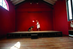 Teatro-del-vigentino-palco-con-sfondo-rosso.jpg